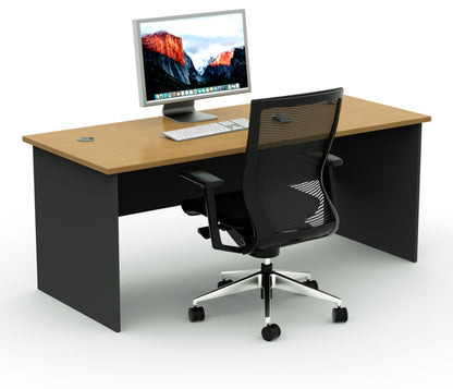 Straight Desk with 2 Cable Holes