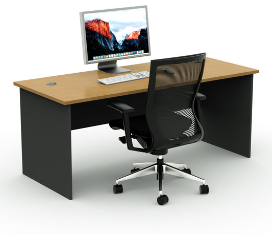 Straight Desk with 2 Cable Holes