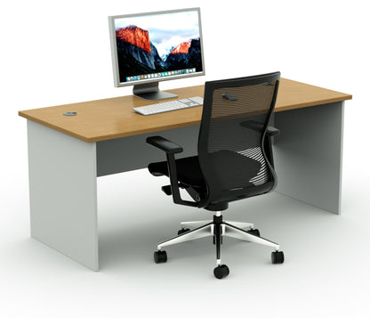Straight Desk with 2 Cable Holes